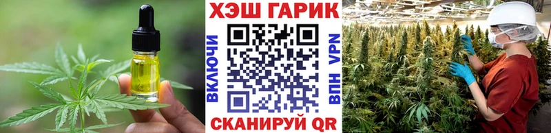 купить закладку  MEGA зеркало  Еда ТГК конопля  Бабушкин 