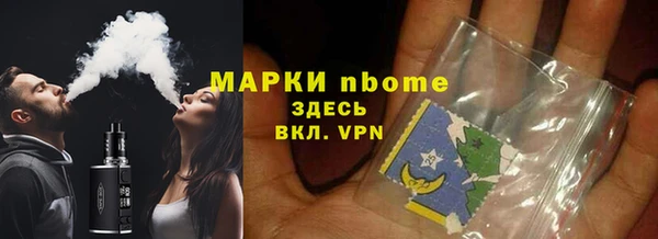 шишки Арсеньев