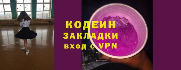 шишки Арсеньев