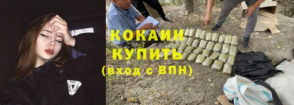 шишки Арсеньев
